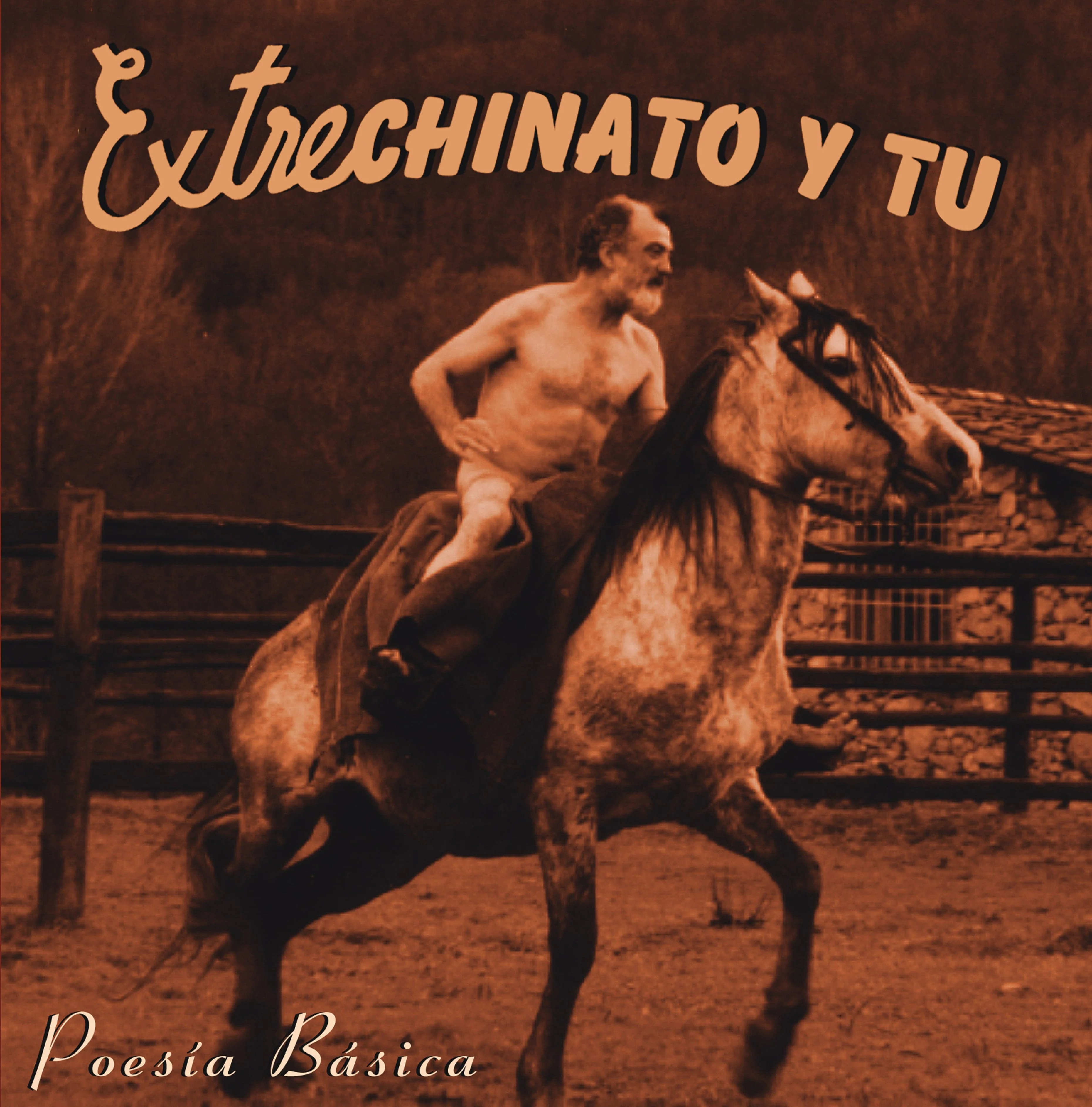 Poesía Básica - Vinilo - Image 2