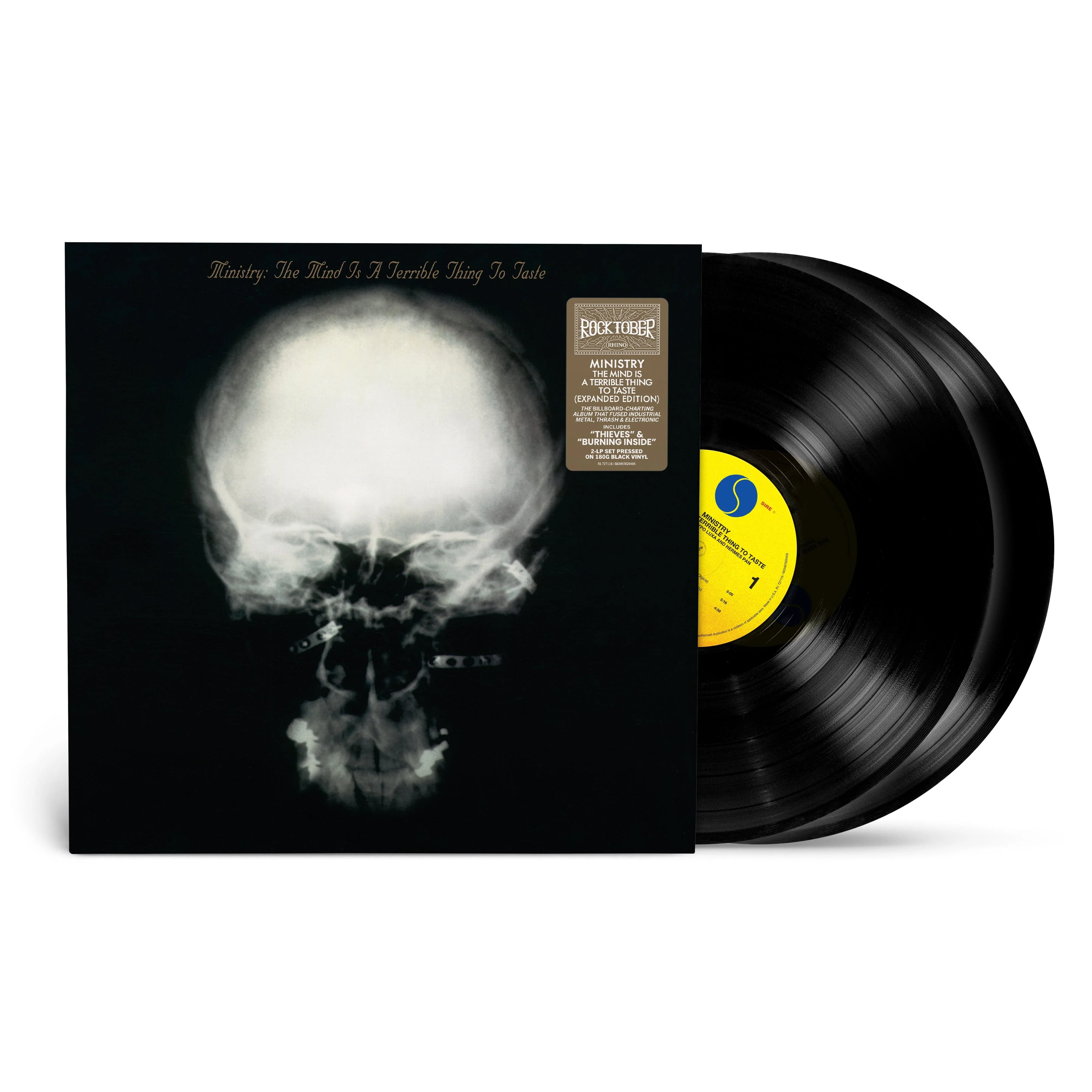 The Mind Is A Terrible Thing To Taste - Vinilo Doble