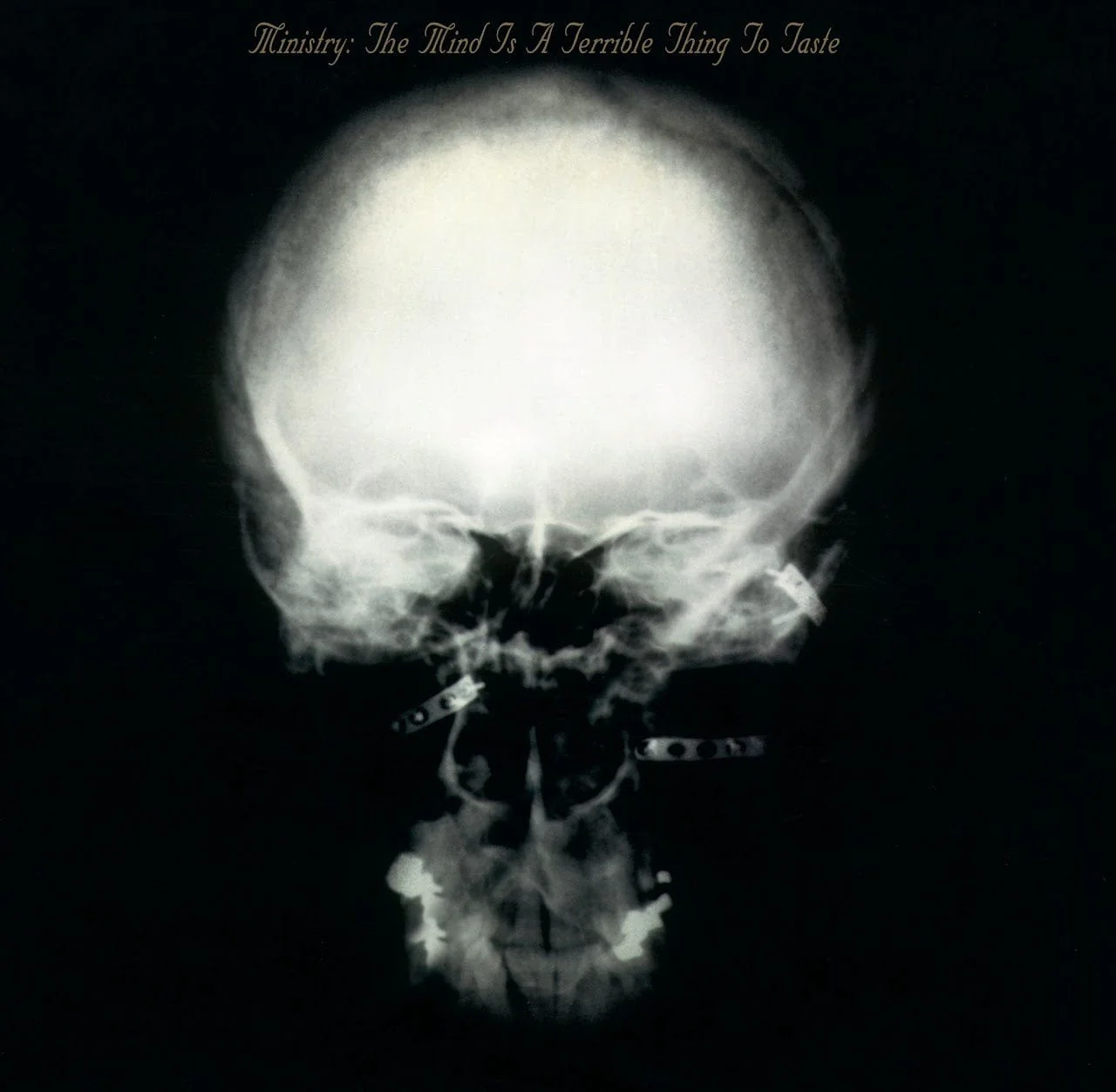 The Mind Is A Terrible Thing To Taste - Vinilo Doble - Image 2