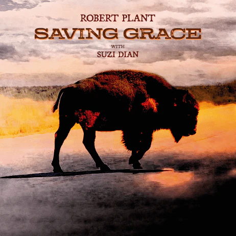 Saving Grace - Vinilo - Image 2
