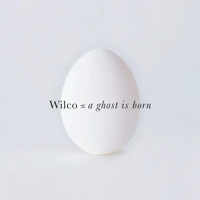 A Ghost Is Born - 2 Vinilos